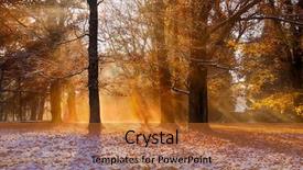  Presentation with woodland - PPT layouts enhanced with woodland - magical autumn scenery with morning background and a red colored foreground