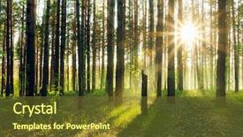  Presentation with woodland - Amazing slides having woodland forest - beautiful sunset in the woods backdrop and a tawny brown colored foreground