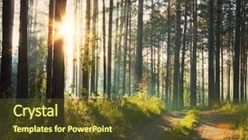  Presentation with woods - Theme having woodland forest - sunset in the woods background and a tawny brown colored foreground