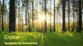  Presentation with woods - Beautiful PPT theme featuring woodland forest - sunset in the woods backdrop and a tawny brown colored foreground