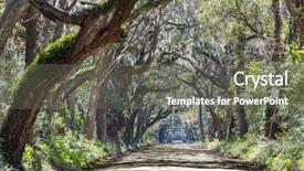  Presentation with botany - Audience pleasing presentation consisting of woodland forest - trees tunnel -botany bay south backdrop and a gray colored foreground