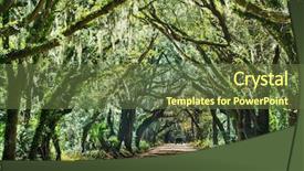  Presentation with botany - Audience pleasing PPT theme consisting of woodland forest - trees tunnel -botany bay south backdrop and a tawny brown colored foreground