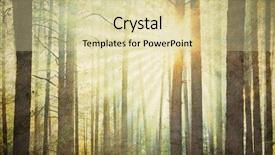  Presentation with woodland - PPT theme with woodland forest - vintage sun rays sunset illustration background and a soft green colored foreground