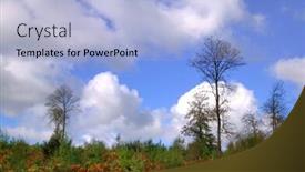  Presentation with woodland - Presentation theme enhanced with woodland scene looking at the horizon during autumn background and a light blue colored foreground