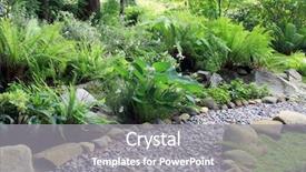  Presentation with fern - Theme with woodland shade garden path lined background and a gray colored foreground