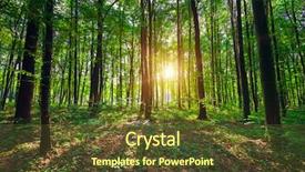  Presentation with woods - PPT theme having woods - beautiful green forest background and a tawny brown colored foreground