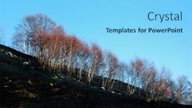  Presentation with fire damage - Amazing theme having woods-fire-damage-white-birch backdrop and a light blue colored foreground