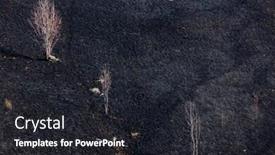  Presentation with fire damage - Beautiful slide set featuring woods-fire-damage-white-birch backdrop and a dark gray colored foreground