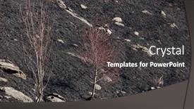  Presentation with fire damage - Presentation design with woods-fire-damage-white-birch background and a dark gray colored foreground