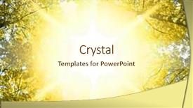  Presentation with pine trees - PPT theme having woods landscape trees of yellow background and a  colored foreground