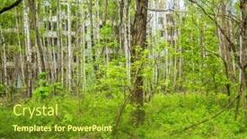  Presentation with pripyat - Theme having woods-of-pripyat-in-chernobyl background and a tawny brown colored foreground