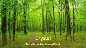  Presentation with forest beautiful spring nature - PPT layouts featuring woods roots - beautiful green forest in spring background and a tawny brown colored foreground
