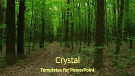  Presentation with forest beautiful spring nature - Presentation design enhanced with woods roots - beautiful green forest in spring background and a tawny brown colored foreground