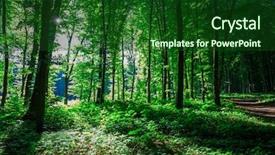  Presentation with mountains forests green forest - Cool new presentation with woods roots - beautiful green forest backdrop and a forest green colored foreground