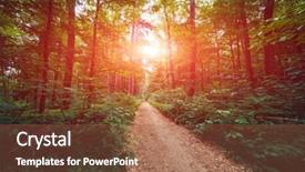  Presentation with beautiful green - Theme enhanced with woods roots - beautiful green forest background and a  colored foreground