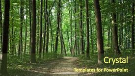 Presentation with mountains forests green forest - Presentation theme enhanced with woods roots - beautiful green forest background and a  colored foreground