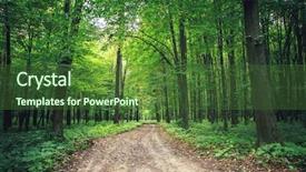  Presentation with abstract green forest - Presentation featuring woods roots - beautiful green forest background and a  colored foreground