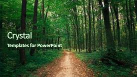  Presentation with beautiful green - Audience pleasing PPT layouts consisting of woods roots - beautiful green forest backdrop and a  colored foreground