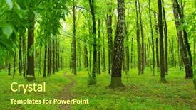  Presentation with green nature - PPT theme featuring woods roots - forest trees nature green wood background and a  colored foreground