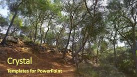  Presentation with river forest village school - PPT theme consisting of woods roots - la vallesa pine forest background and a  colored foreground