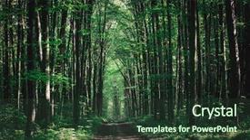  Presentation with woods - Cool new presentation theme with woods trees - beautiful green forest backdrop and a  colored foreground