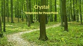  Presentation with abstract green forest - PPT layouts featuring woods trees - beautiful green forest background and a  colored foreground