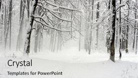  Presentation with forest road - PPT layouts featuring woods trees - beautiful winter forest background and a  colored foreground