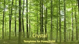  Presentation with woods - Cool new PPT theme with woods trees - sunlight in the green forest backdrop and a tawny brown colored foreground