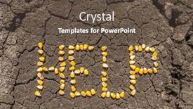  Presentation with corn field - PPT layouts enhanced with word-help-from-corn-kernels background and a  colored foreground