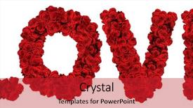  Presentation with love - Beautiful PPT theme featuring red roses isolated over white backdrop and a red colored foreground