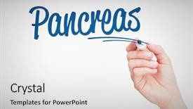  Presentation with whiteboard - Audience pleasing presentation design consisting of word pancreas against female hand backdrop and a white colored foreground