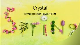  Presentation with herbs - Amazing PPT layouts having word spring made of herbs backdrop and a blonde colored foreground