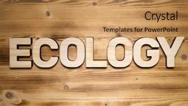  Presentation with ecology - Beautiful presentation design featuring words environment - ecology word made of wooden backdrop and a coral colored foreground