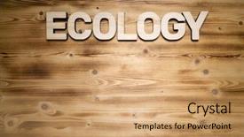  Presentation with ecology - Colorful slide set enhanced with words environment - ecology word made of wooden backdrop and a coral colored foreground
