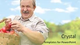  Presentation with apple - Audience pleasing presentation theme consisting of flying mexican pesos isolated with clipping path backdrop and a light gray colored foreground