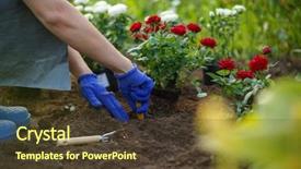  Presentation with agronomist - Theme with work better - image of hands of agronomist background and a tawny brown colored foreground