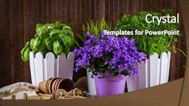  Presentation with garden tools - Audience pleasing slide deck consisting of work enviroment - flowers for planting with garden backdrop and a  colored foreground