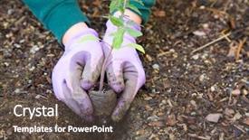  Presentation with gardening - PPT theme with work gloves - gardening background and a tawny brown colored foreground