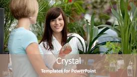  Presentation with helping - Slide set enhanced with worker helping customer with plant background and a coral colored foreground