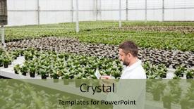  Presentation with hands holding be brave word - Slide set consisting of worker in apron holding folder background and a  colored foreground