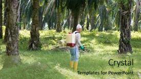 Presentation with palm oil - Slide set with worker is poisoning weeds background and a yellow colored foreground