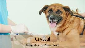  Presentation with medical worker - Presentation consisting of worker making medical examination blood background and a coral colored foreground