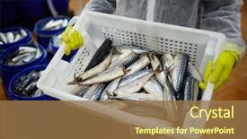 Presentation with fish processing - Amazing presentation theme having worker of fish processing factory backdrop and a coral colored foreground