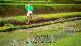  Presentation with rice terraces - Presentation featuring worker on rice terraces in bali background and a yellow colored foreground