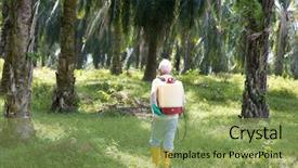  Presentation with oil palm plantation - Amazing PPT theme having palm oil worker spraying herbicides backdrop and a seafoam green colored foreground
