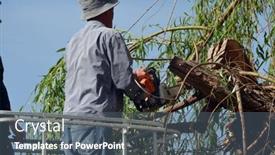  Presentation with mechanical - 