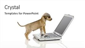  Presentation with puppy - Amazing theme having working animals - cute puppy looking at computer backdrop and a white colored foreground