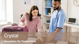  Presentation with veterinary - Cool new theme with working animals - young owner of pet backdrop and a coral colored foreground