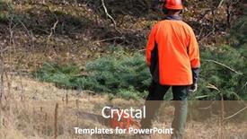  Presentation with timber harvest - PPT layouts featuring working in a forest harvest background and a coral colored foreground