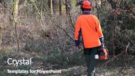  Presentation with timber harvest - Amazing PPT layouts having working in a forest harvest backdrop and a dark gray colored foreground
